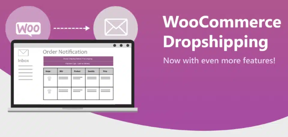 dropshipping en WordPress-6